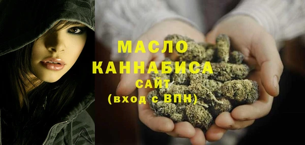крисы Абаза