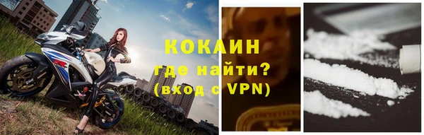 крисы Абаза