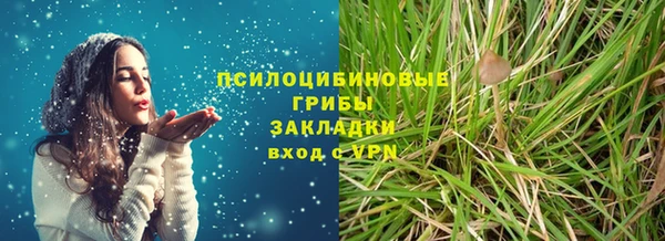 крисы Абаза
