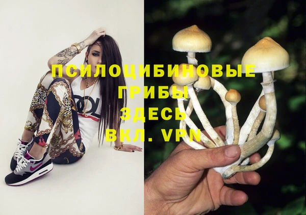 Альфа ПВП Абинск