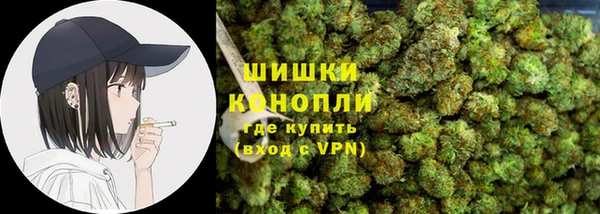 крисы Абаза
