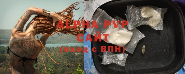 крисы Абаза