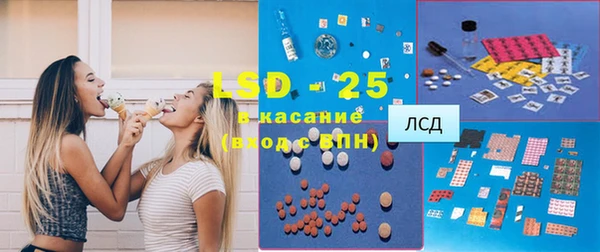 крисы Абаза