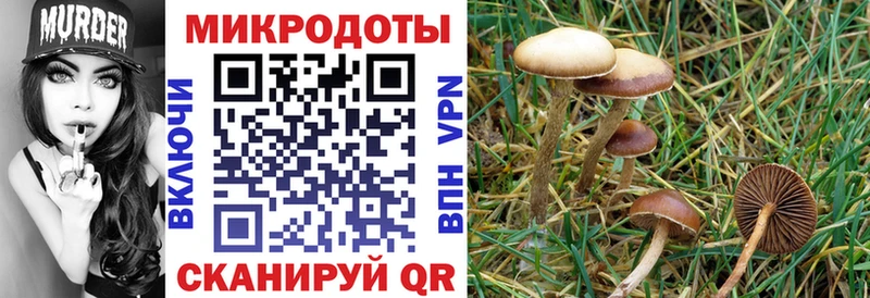 Галлюциногенные грибы MAGIC MUSHROOMS  купить   Сызрань 