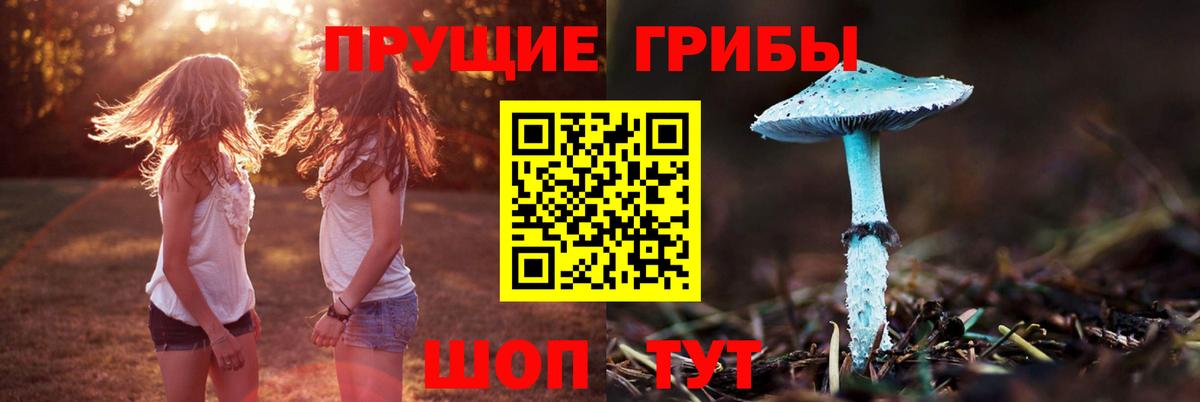 Псилоцибиновые грибы Cubensis Сызрань